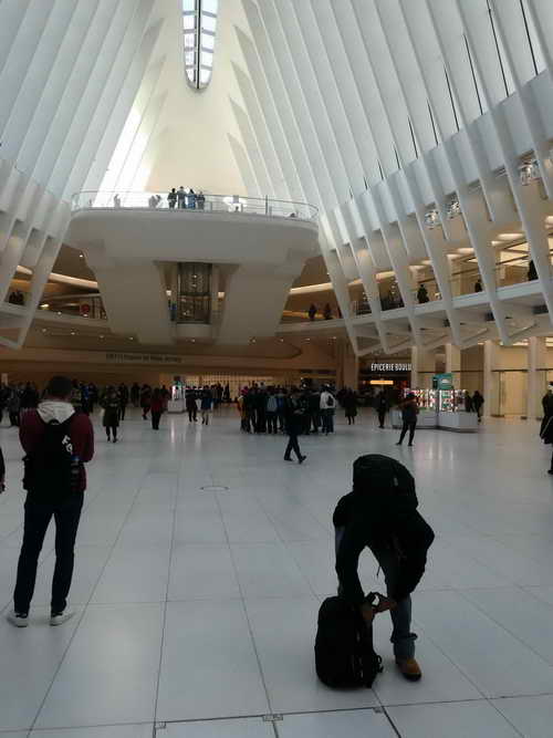 NYC_2020-01-29 13-34-04_P1080594